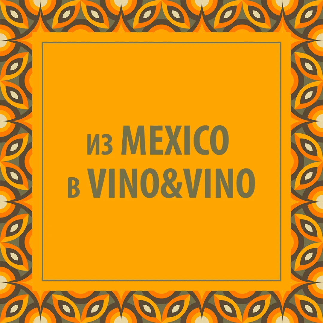 Из MEXICO в VINO&VINO