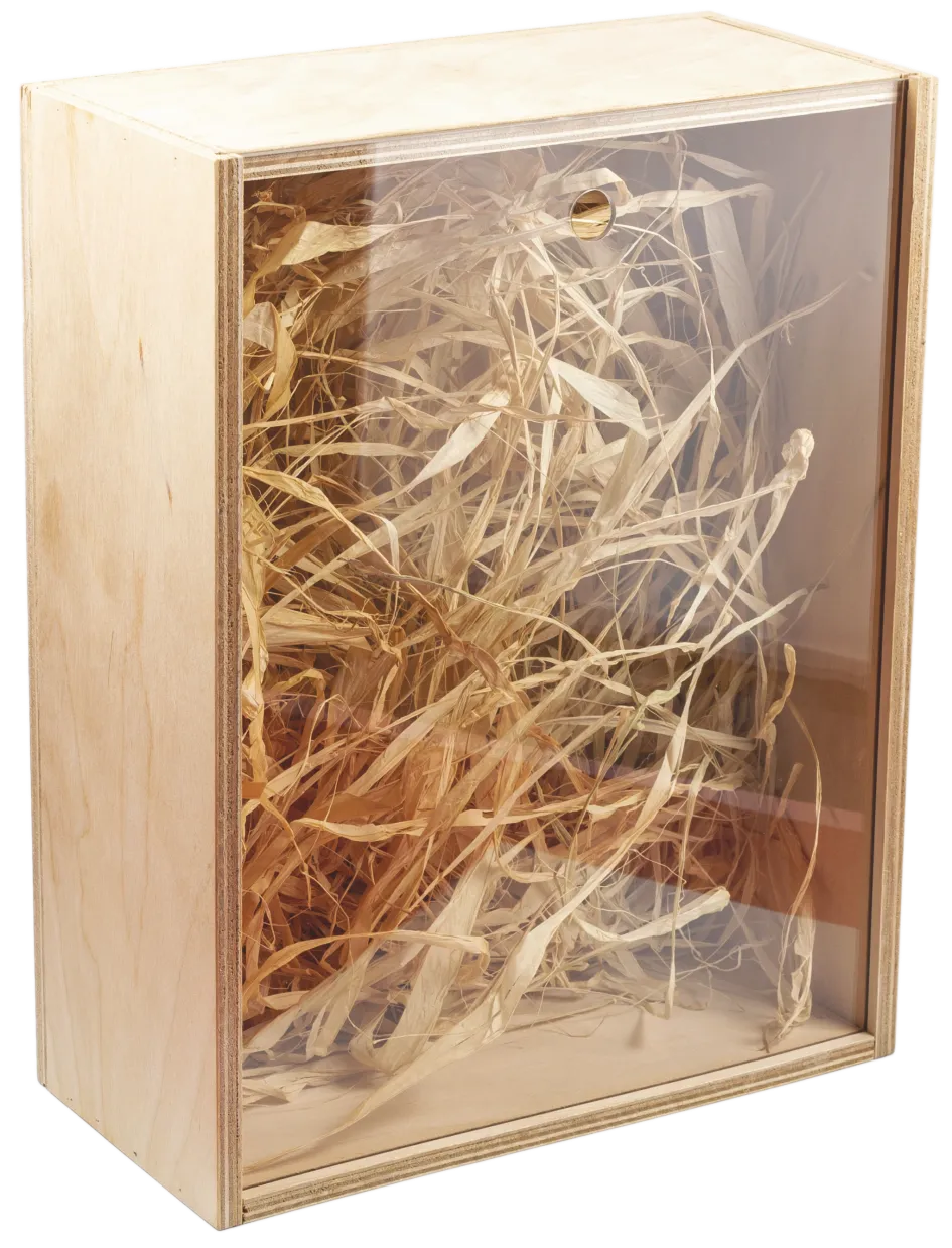 КОРОБКА ИЗ ФАНЕРЫ С ОРГСТЕКЛОМ